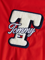 Tommy Jeans DM0DM18702