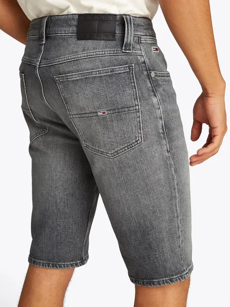Tommy Jeans DM0DM20946