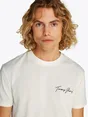 Tommy Jeans DM0DM21345