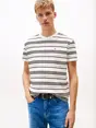 Tommy Jeans DM0DM21784