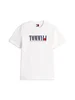 Tommy Jeans DM0DM21941