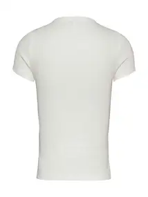 Tommy Jeans DW0DW17881