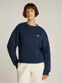Tommy Jeans DW0DW19408