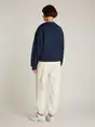Tommy Jeans DW0DW19408