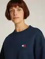 Tommy Jeans DW0DW19408