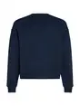 Tommy Jeans DW0DW19408