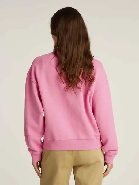 Tommy Jeans DW0DW19408
