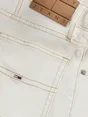 Tommy Jeans DW0DW20093