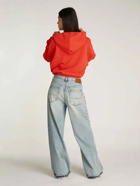 Tommy Jeans DW0DW20314