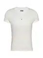 Tommy Jeans DW0DW20315