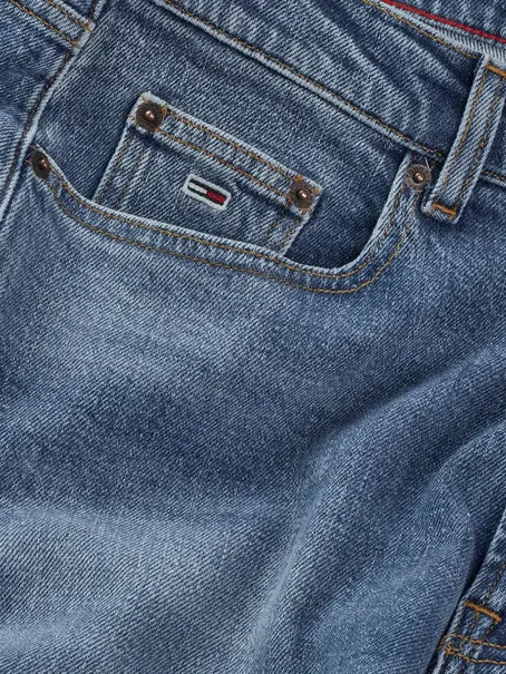 Tommy Jeans DW0DW20644