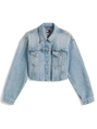 Tommy Jeans DW0DW21063