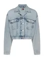 Tommy Jeans DW0DW21289