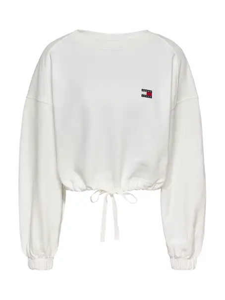 Tommy Jeans DW0DW21344