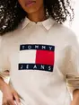 Tommy Jeans DW0DW21782