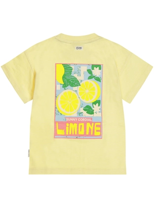 Tumble 'n Dry TND Lemons