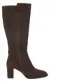 Unisa lebrun