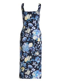 Vera Mont 35844248
