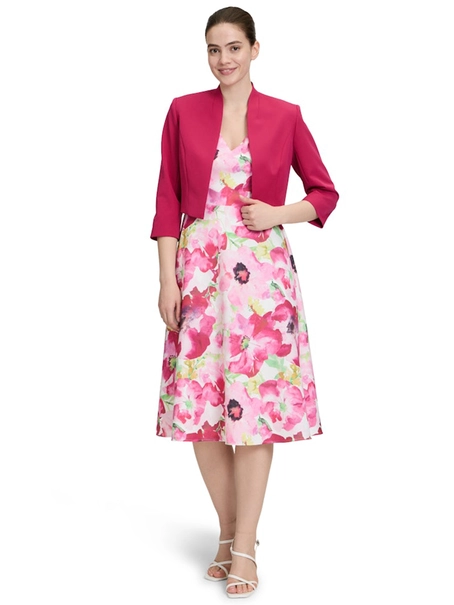 Vera Mont 48894031
